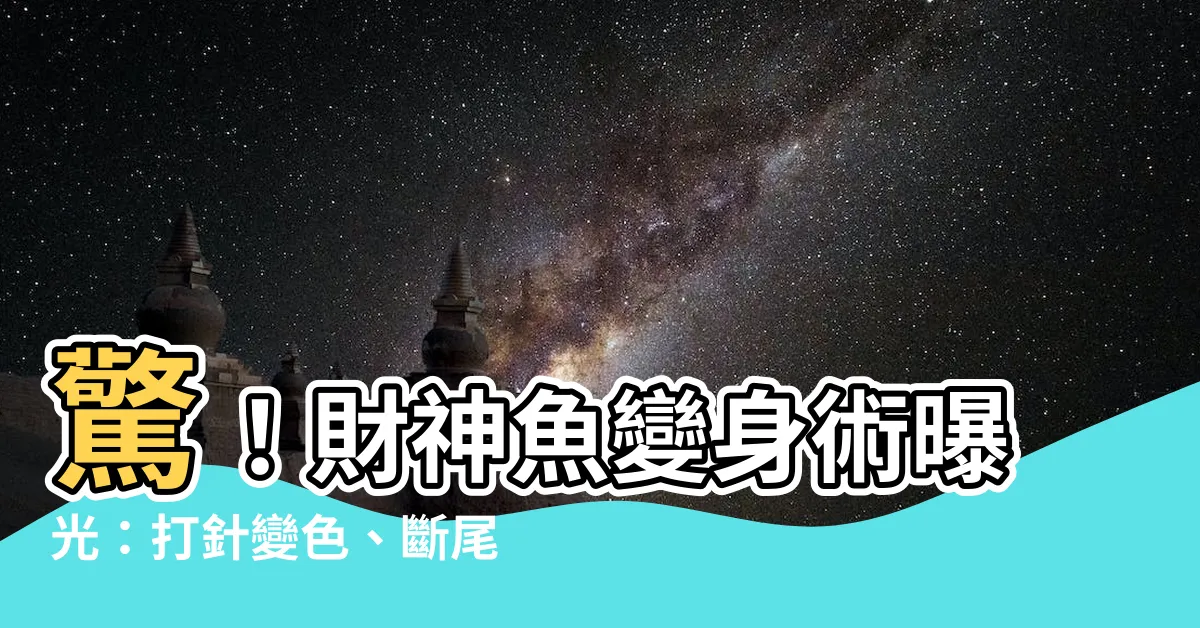 【財神魚】驚！財神魚變身術曝光：打針變色、斷尾殘缺，專家揭露驚人真相！
