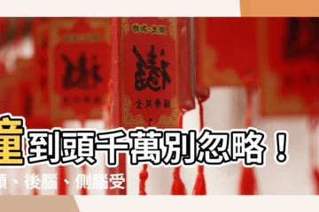 【撞到頭位置】撞到頭千萬別忽略！前額、後腦、側腦受傷徵兆大不同