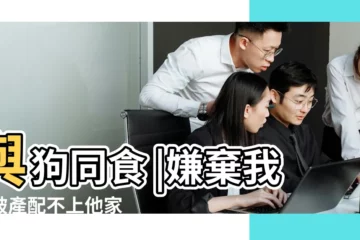 【狗年生女兒11月裏哪天好】與狗同食 |嫌棄我家破產配不上他家 |結婚當天婆婆帶老公退婚 |
