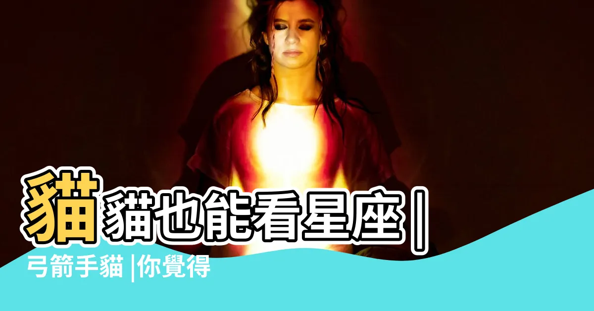 【射手座貓】貓貓也能看星座 |弓箭手貓 |你覺得準嗎 |