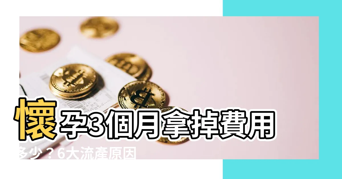 【懷孕三個月拿掉費用】懷孕3個月拿掉費用多少？6大流產原因、墮胎手術費用一次看