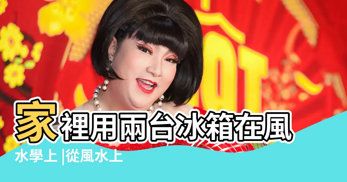 【兩個冰箱風水】家裡用兩台冰箱在風水學上 |從風水上看廚房並排放兩個冰箱好嗎 |是否OK |