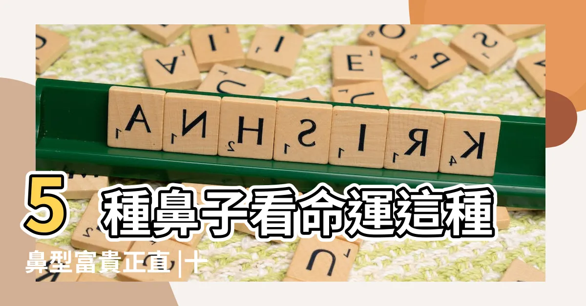 【鼻高 面相】5種鼻子看命運這種鼻型富貴正直 |十五種鼻型 |觀相知人 |