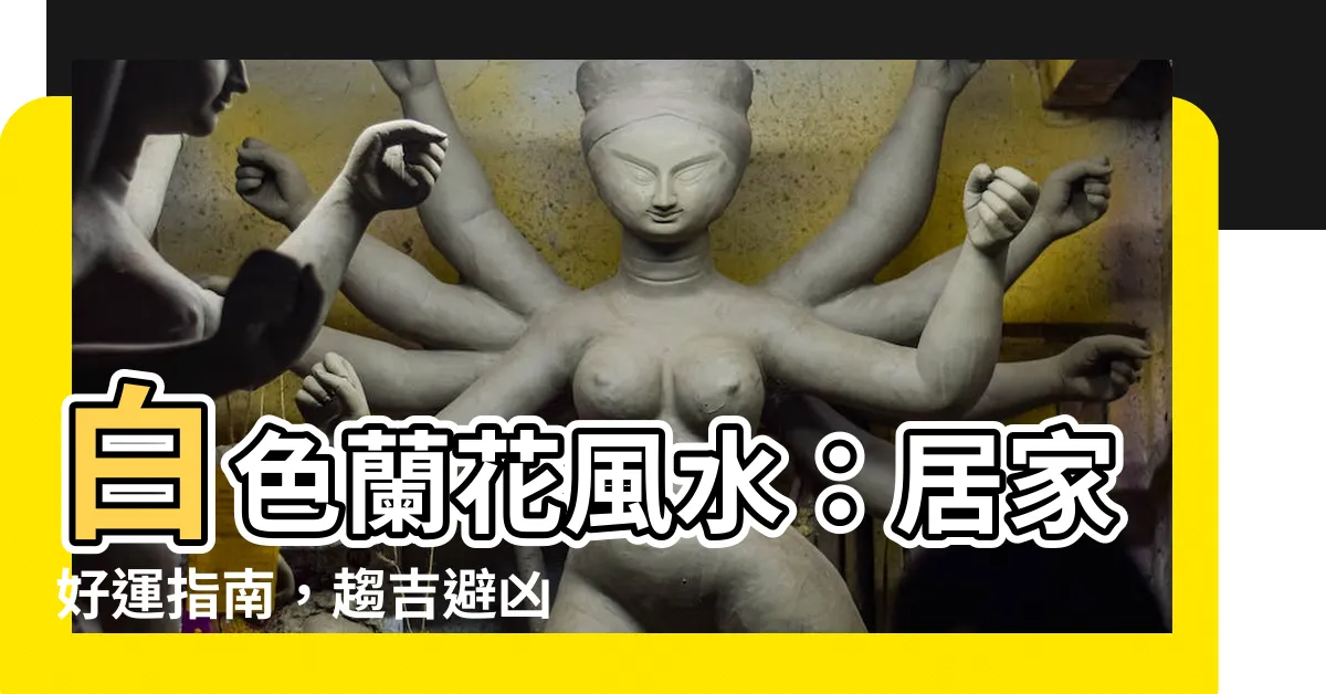 【白色蘭花風水】白色蘭花風水：居家好運指南，趨吉避兇不可不知！