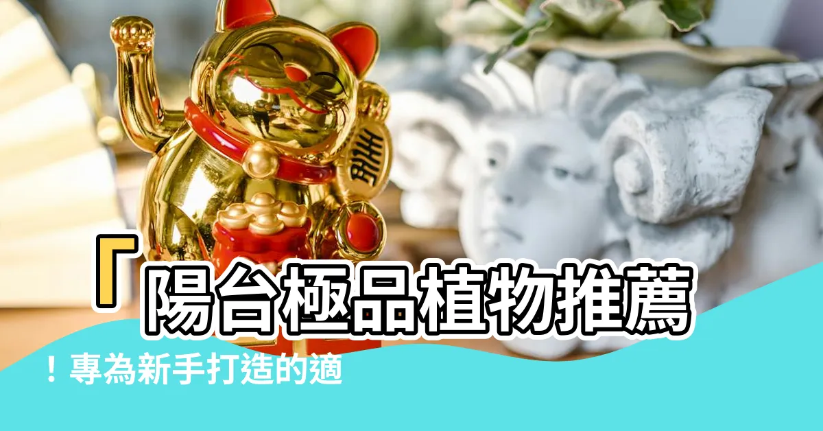 【適合陽台的植物】「陽台極品植物推薦！專為新手打造的適合陽台的綠寶石！」