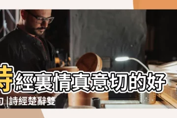【古詩給雙胞胎起名男孩名字大全】詩經裏情真意切的好詩句 |詩經楚辭雙胞胎取名最有創意推薦技巧 |好聽唯美的雙胞胎名字 |