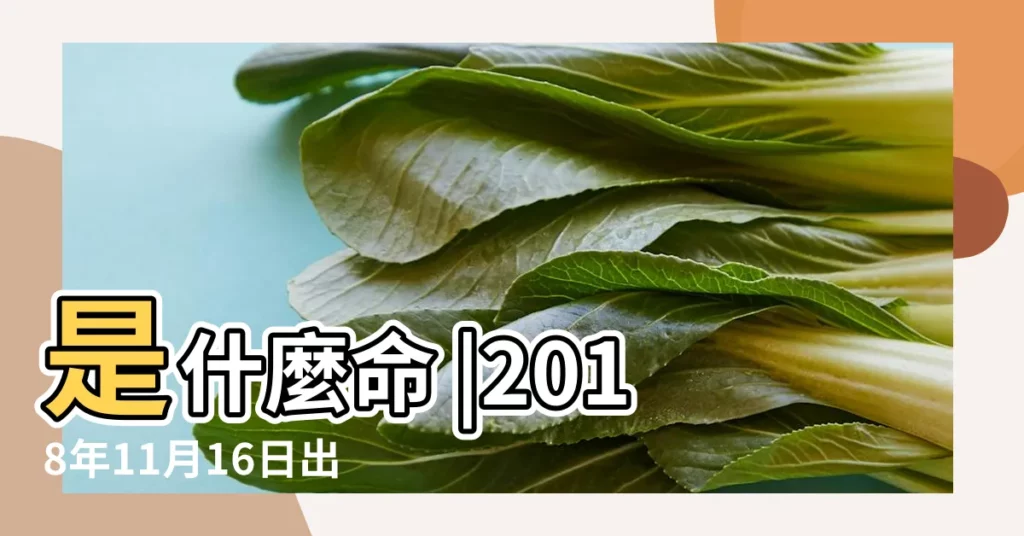 是什麼命 |2018年11月16日出生的人生辰八字測算 |農曆二零一八年十 |【2018年11月16日出生五行】