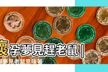 【懷孕夢見趕老鼠】懷孕夢見趕老鼠 |孕婦夢見老鼠意味著什麼 |孕婦夢見老鼠 |