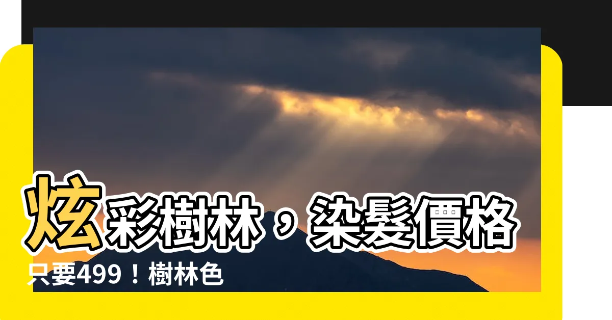 【樹林色彩學】炫彩樹林，染髮價格只要499！樹林色彩學染髮，讓您與眾不同