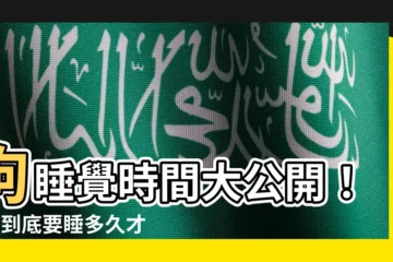【狗睡覺時間】狗睡覺時間大公開！1天到底要睡多久才夠？
