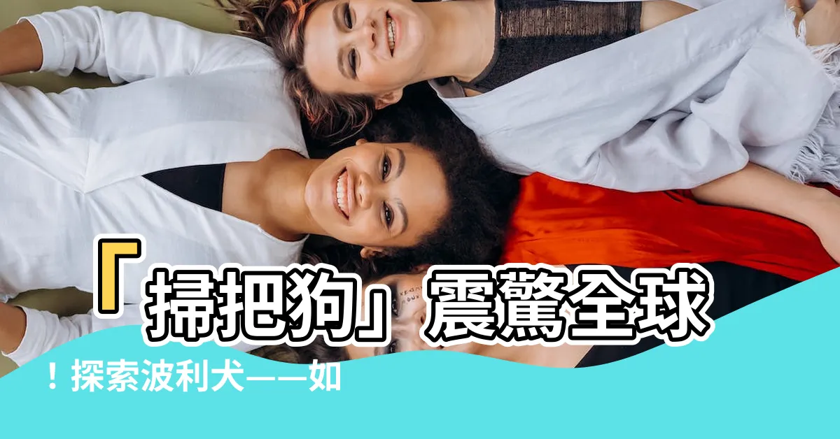 【掃把狗】「掃把狗」震驚全球！探索波利犬——如何擁有寵物界最神奇的掃把