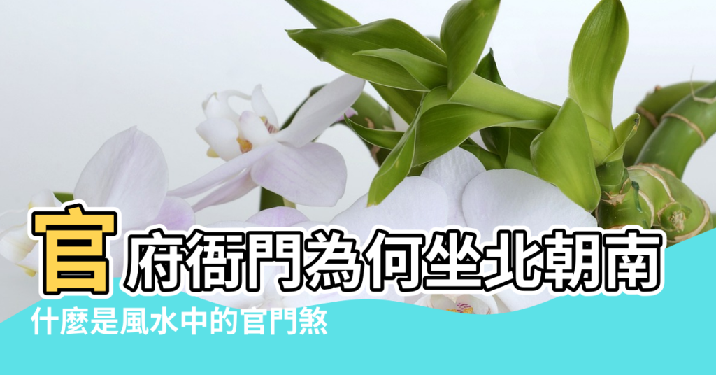 【衙門風水】官府衙門為何坐北朝南 |什麼是風水中的官門煞 |陽宅風水之官府衙門 |