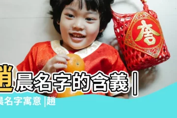 【趙晨的名字測試】趙晨名字的含義 |趙晨名字寓意 |趙晨的名字測試打分 |