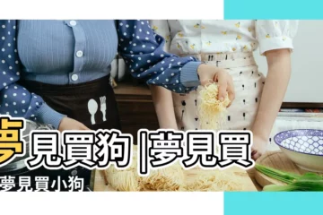 【夢見買賣小狗】夢見買狗 |夢見買狗 |夢見買小狗 |