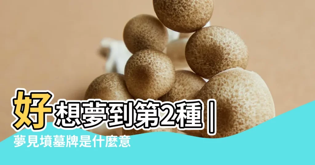 好想夢到第2種 |夢見墳墓牌是什麼意思 |整理好多個派網頁的解夢數字 |【夢見山裏好多神主牌】