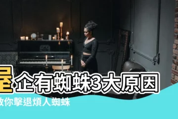 【屋企有蜘蛛原因】屋企有蜘蛛3大原因！教你擊退煩人蜘蛛、防止牠們再度入侵！