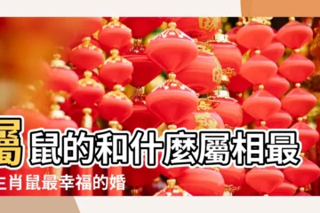 【屬老鼠的婚姻配】屬鼠的和什麼屬相最配生肖鼠最幸福的婚配屬相 |屬鼠的和什麼屬相最配 |屬鼠人的最佳姻緣和最差配對 |