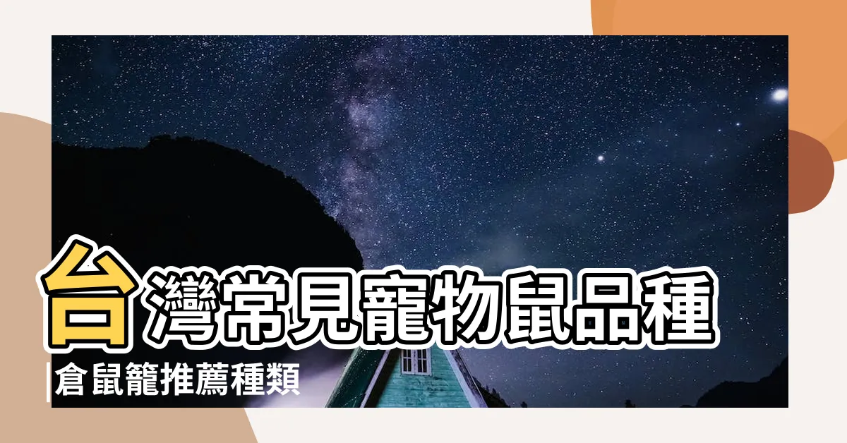 【倉鼠圖片】台灣常見寵物鼠品種 |倉鼠籠推薦種類 |新手飼養必讀 |