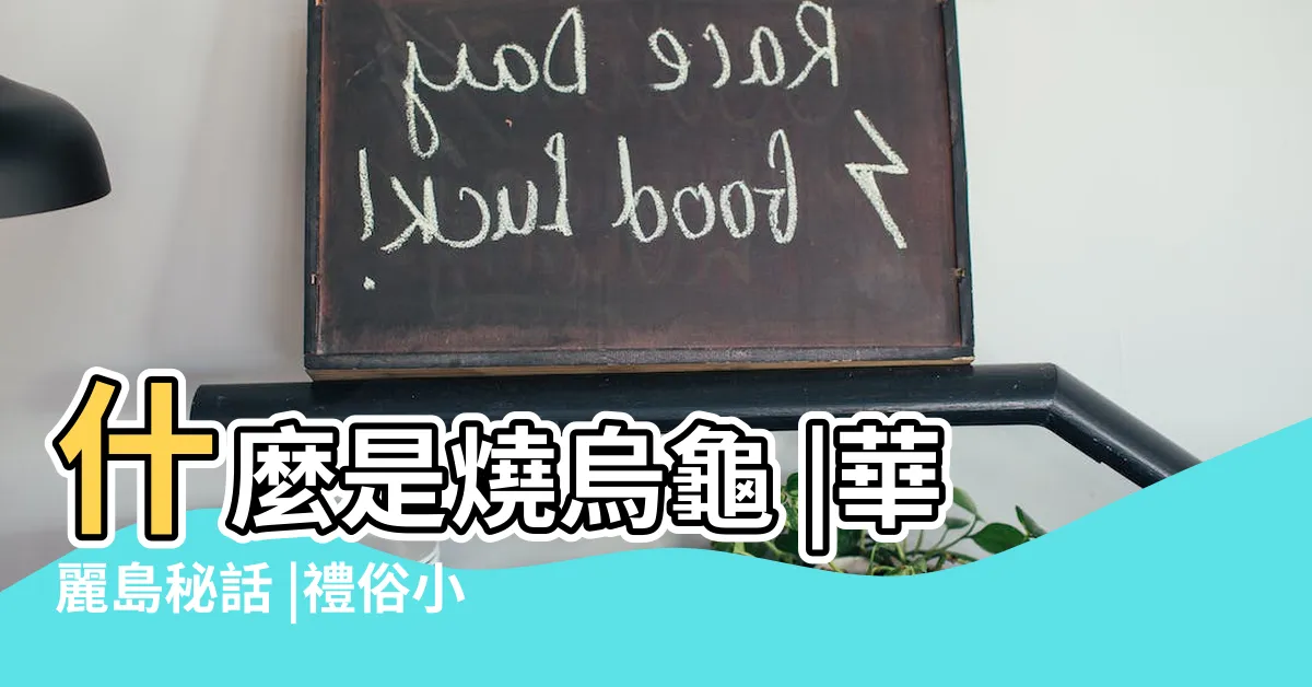 【畫烏龜意思】什麼是燒烏龜 |華麗島秘話 |禮俗小學堂 |