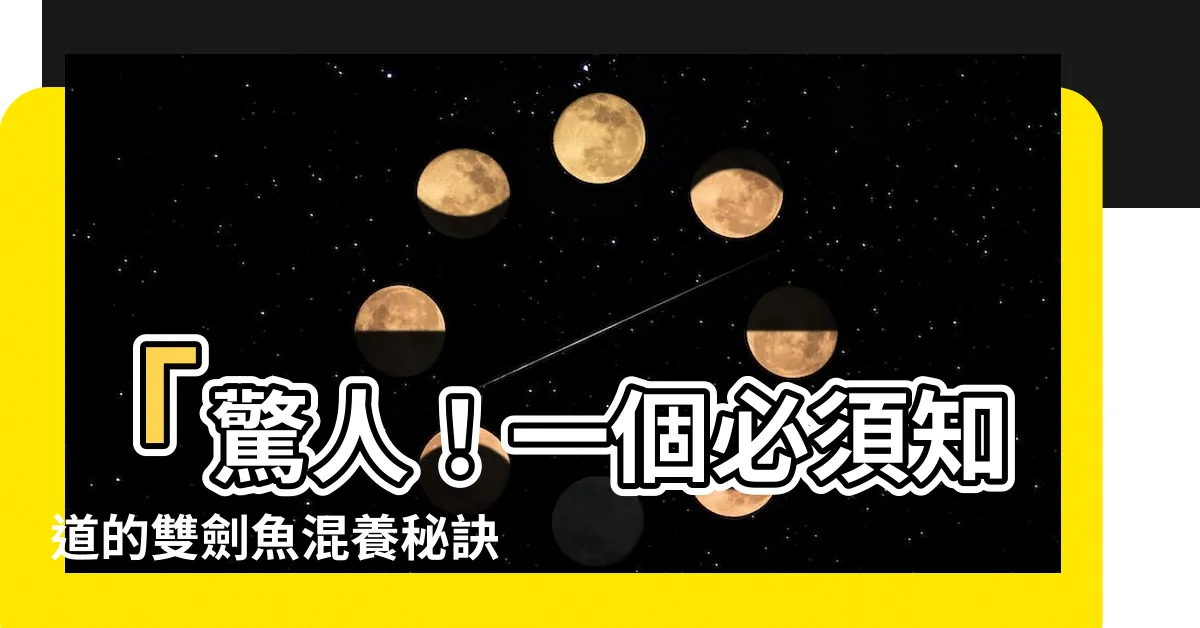 【雙劍魚混養】「驚人！一個必須知道的雙劍魚混養秘訣，否則魚缸將不再安寧！」