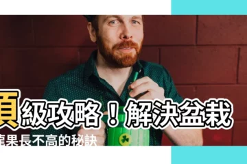 【火龍果盆栽長不大】頂級攻略！解決盆栽火龍果長不高的秘訣，輕鬆實現開花結果！