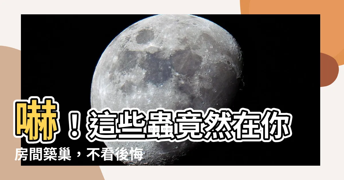 【房間會出現的蟲】嚇！這些蟲竟然在你房間築巢，不看後悔！
