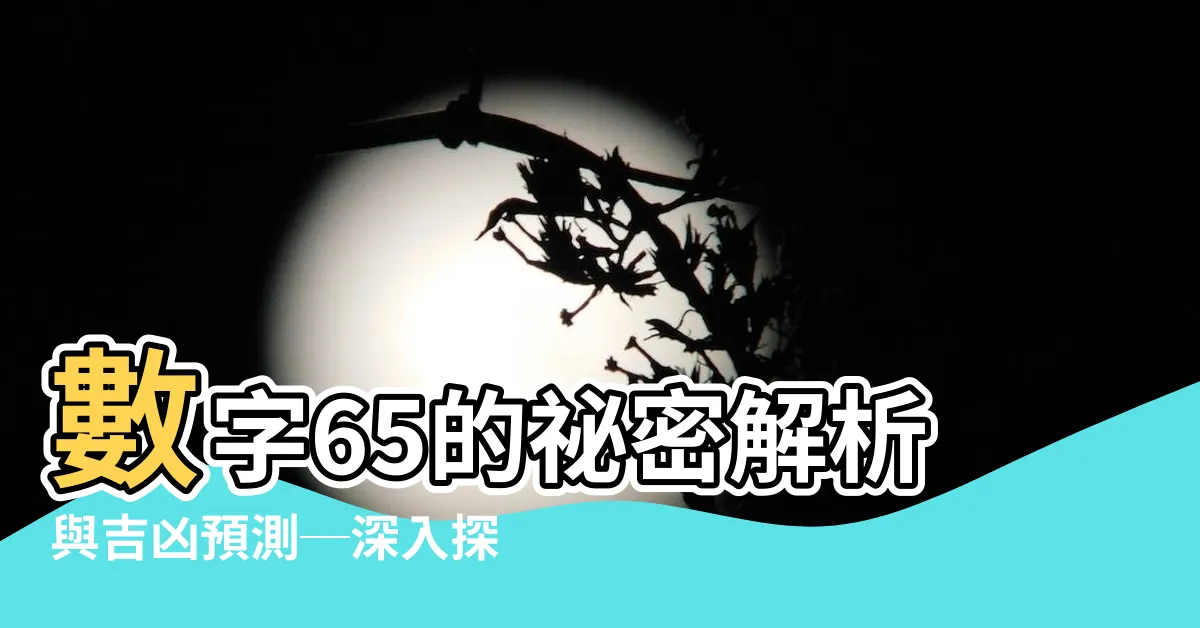 【65數字】數字65的秘密解析與吉凶預測─深入探索65數字的數理玄機