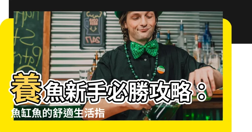 【魚缸魚】養魚新手必勝攻略：魚缸魚的舒適生活指南
