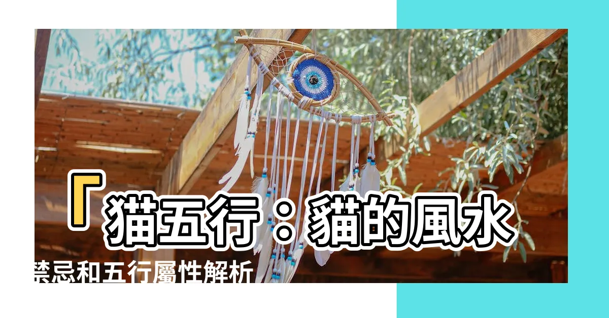 【貓五行】「貓五行：貓的風水禁忌和五行屬性解析！」