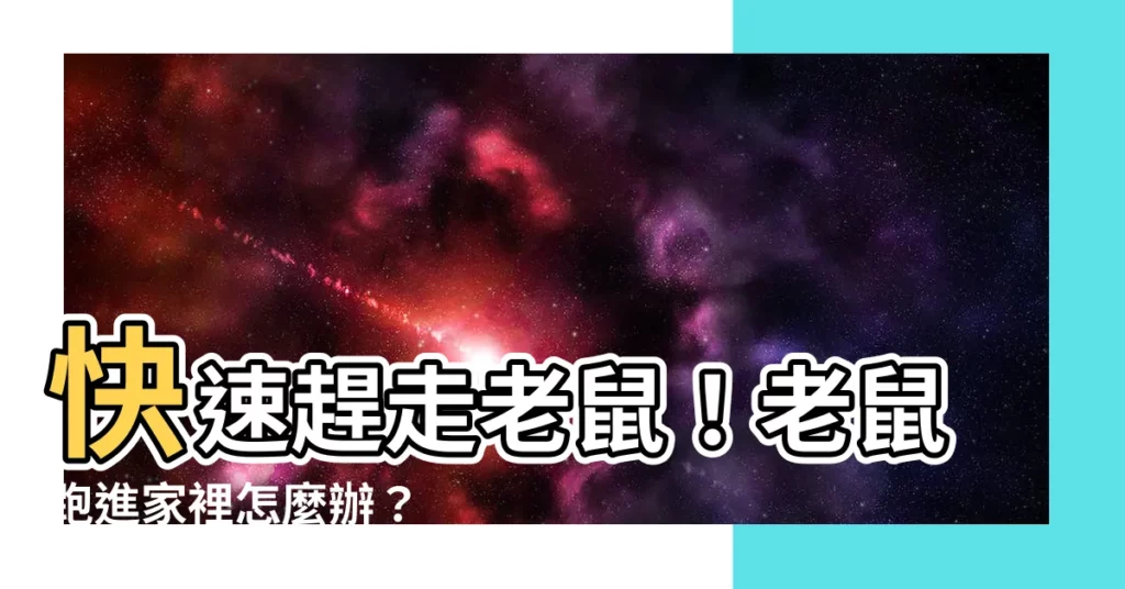【老鼠跑進家裡怎麼辦】快速趕走老鼠！老鼠跑進家裡怎麼辦？