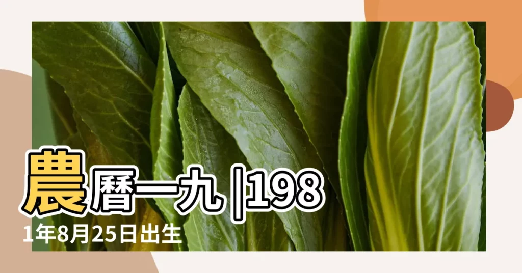 農曆一九 |1981年8月25日出生時間看命運 |1981年8月25日出生的人生辰八字測算 |【1981年8月25生人命運】
