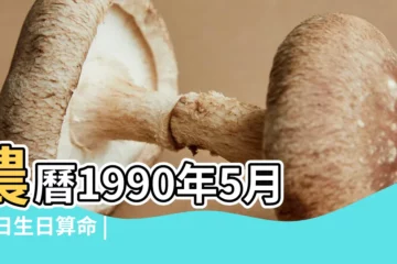 【1990年陰曆5月27日出生是什麼命】農曆1990年5月27日生日算命 |1990年5月27日出生的人命好嗎 |1990年5月27日出生時間看命運 |