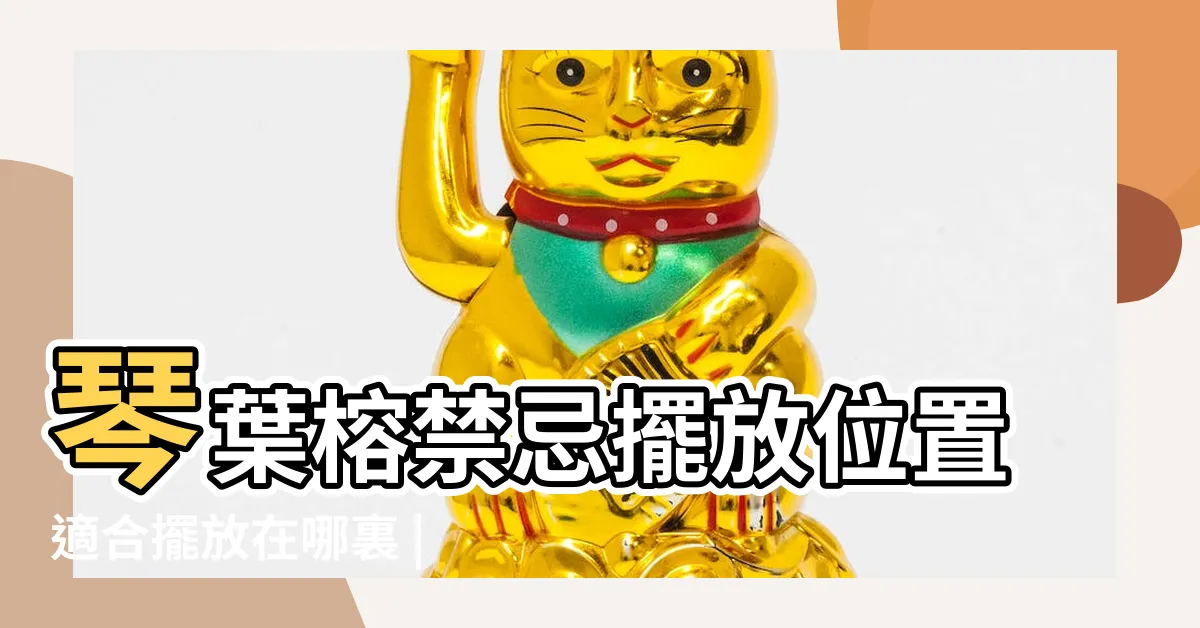 【琴葉榕擺放位置】琴葉榕禁忌擺放位置適合擺放在哪裏 |你瞭解多少 |網紅琴葉榕的風水擺放 |