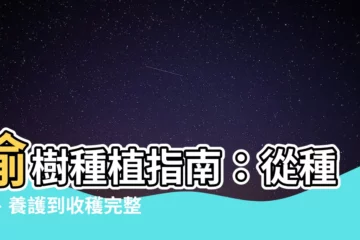 【榆樹種植】榆樹種植指南：從種植、養護到收穫完整解説