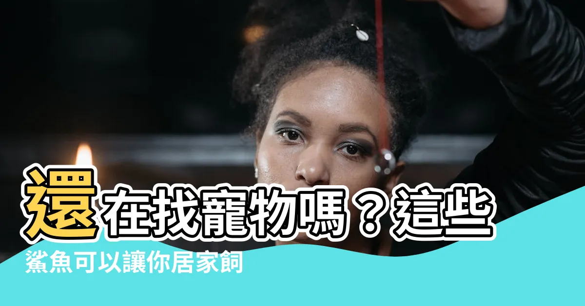 【可以養的鯊魚】還在找寵物嗎？這些鯊魚可以讓你居家飼養！