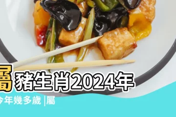 【2007年今年多大了2019】屬豬生肖2024年份今年幾多歲 |屬豬的今年多大2019年 |現在多大了年齡查詢 |