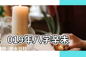 【癸水 2019運勢】2019年八字辛未月運勢 |癸水日柱2019年年度運勢年底福利篇 |2019年八字庚午月運勢 |