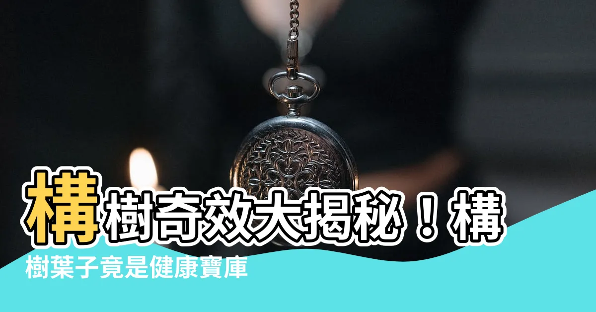 【構樹葉子】構樹奇效大揭秘！構樹葉子竟是健康寶庫
