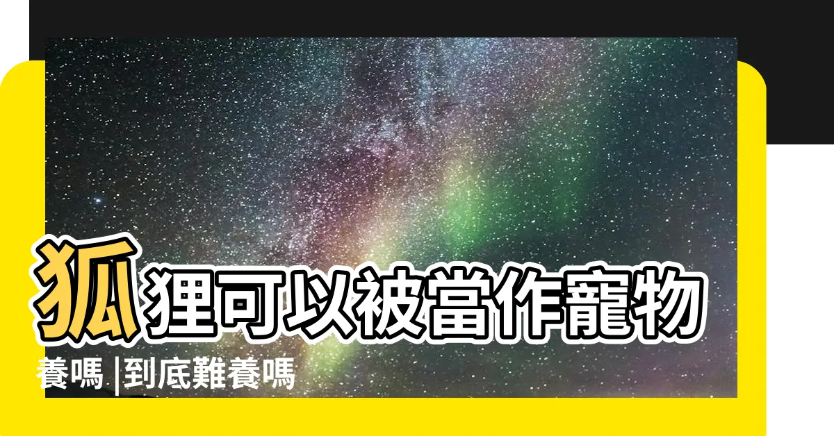 【養狐狸】狐狸可以被當作寵物養嗎 |到底難養嗎 |狐狸目前飼養合法嗎 |