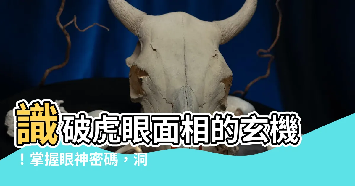 【虎眼 面相】識破虎眼面相的玄機！掌握眼神密碼，洞悉他人特質