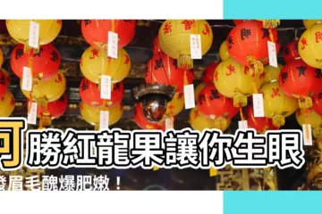 【生眼睛發眉毛意思】阿勝紅龍果讓你生眼睛發眉毛醜爆肥嫩！