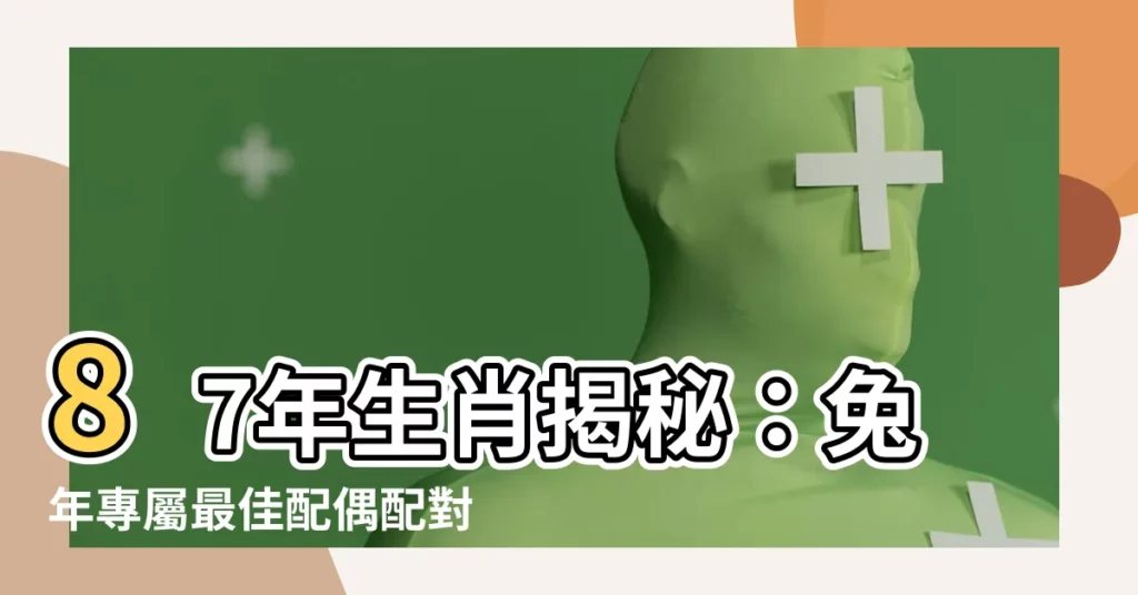 【87年生肖】87年生肖揭秘：兔年專屬最佳配偶配對