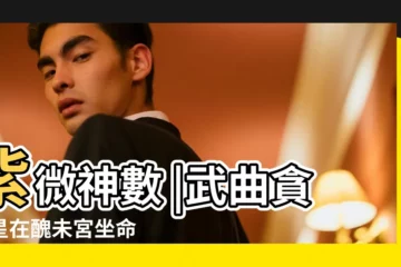 【四十星系論命之武曲貪狼】紫微神數 |武曲貪狼星在醜未宮坐命 |武曲貪狼在醜未坐命 |