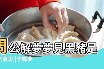 【孕婦夢見兩條黑豬】周公解夢夢見黑豬是什麼意思 |孕婦夢見豬 |孕婦夢見黑豬被蛇咬傷 |