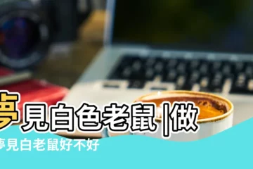 【夢見白色打白色大老鼠】夢見白色老鼠 |做夢夢見白老鼠好不好 |夢見大白鼠 |