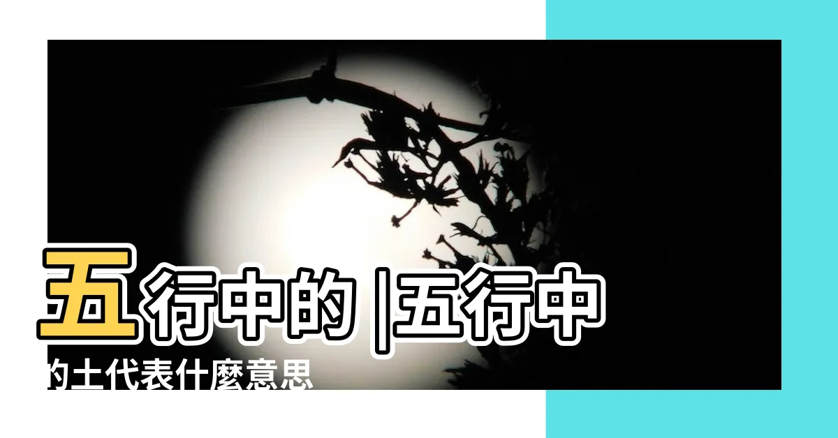 【五行中的土】五行中的 |五行中的土代表什麼意思 |是什麼意思啊 |