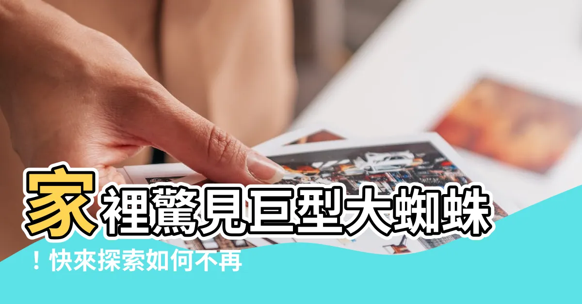 【家裡有大蜘蛛】家裡驚見巨型大蜘蛛！快來探索如何不再見牠的秘密方法！