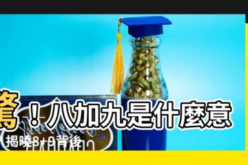 【八加九什麼意思】驚！八加九是什麼意思？揭曉8+9背後不為人知的秘密