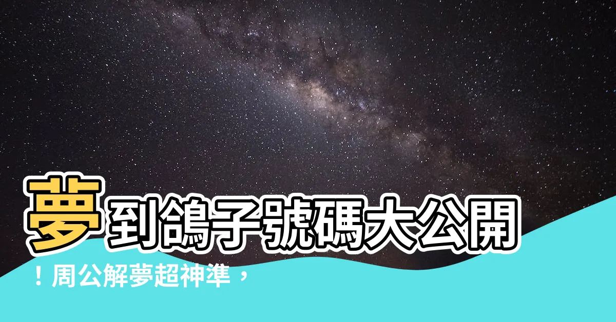 【夢到鴿子號碼】夢到鴿子號碼大公開！周公解夢超神準，539簽注號碼一次看