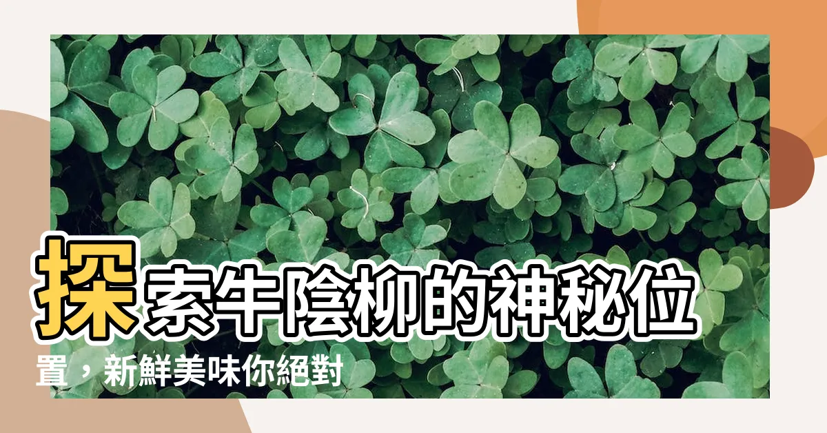 【牛陰柳 位置】探索牛陰柳的神秘位置，新鮮美味你絕對不能錯過！